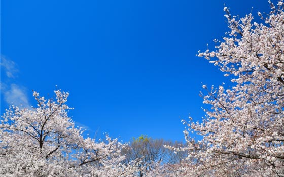 イベント中継／収録